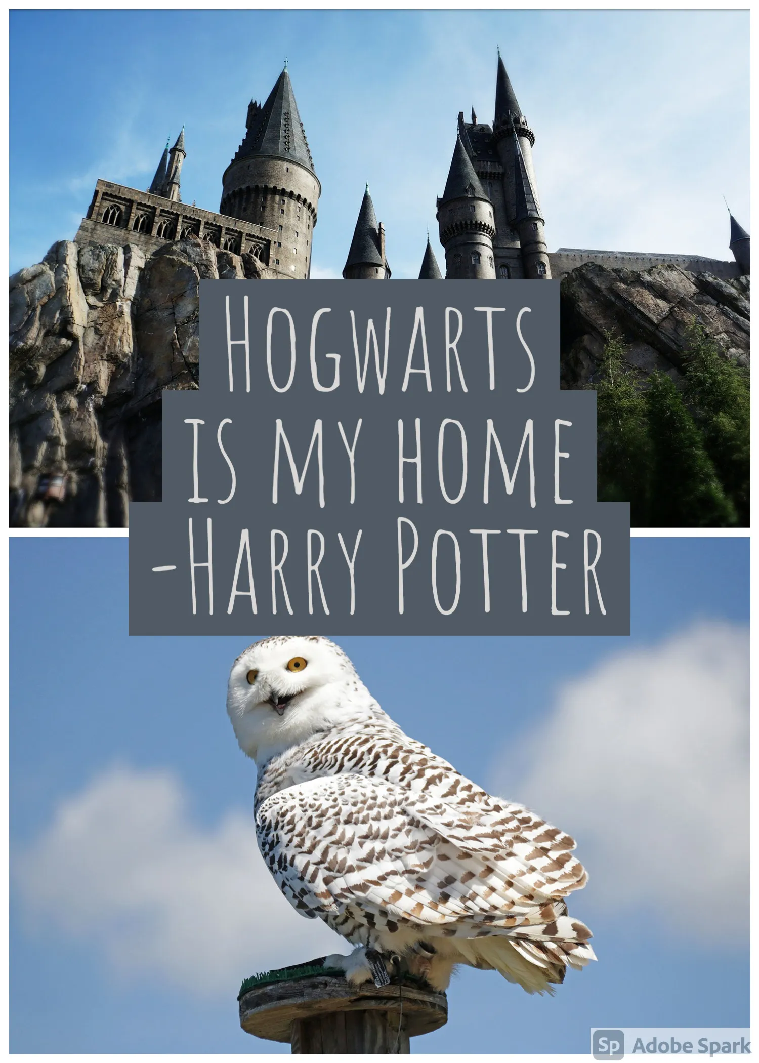 Hey Pandas, Show Your Favorite "Harry Potter" Gizmo
