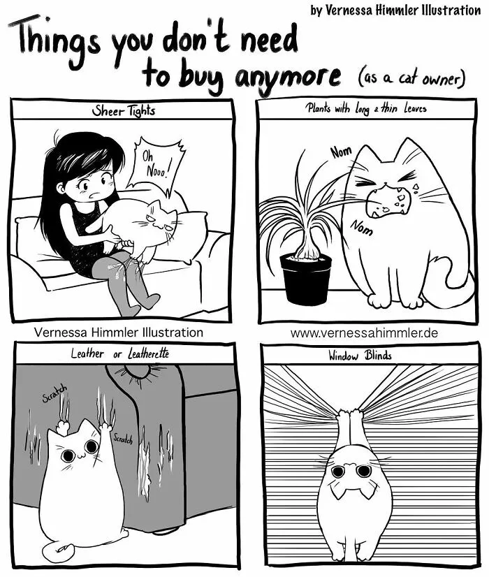 19 New Comics By Vernessa Himmler That Cat Owners Might Find Very Relatable