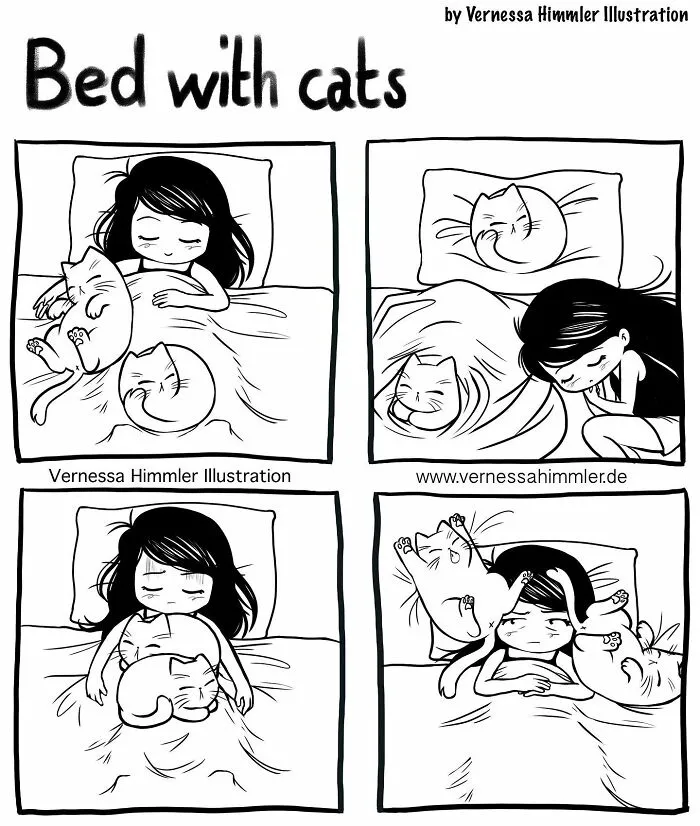 19 New Comics By Vernessa Himmler That Cat Owners Might Find Very Relatable