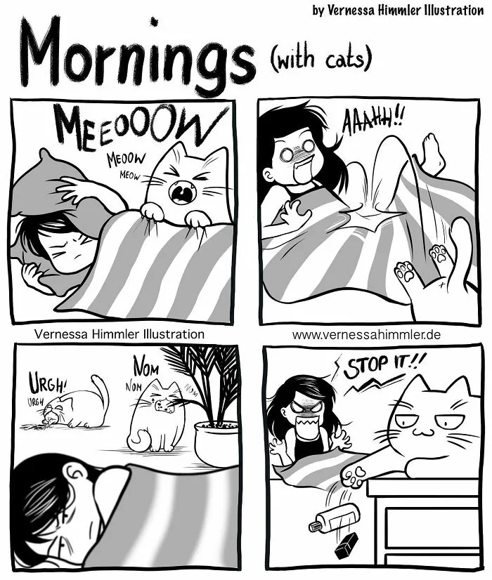 19 New Comics By Vernessa Himmler That Cat Owners Might Find Very Relatable