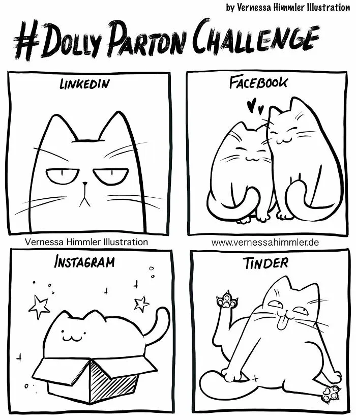 19 New Comics By Vernessa Himmler That Cat Owners Might Find Very Relatable
