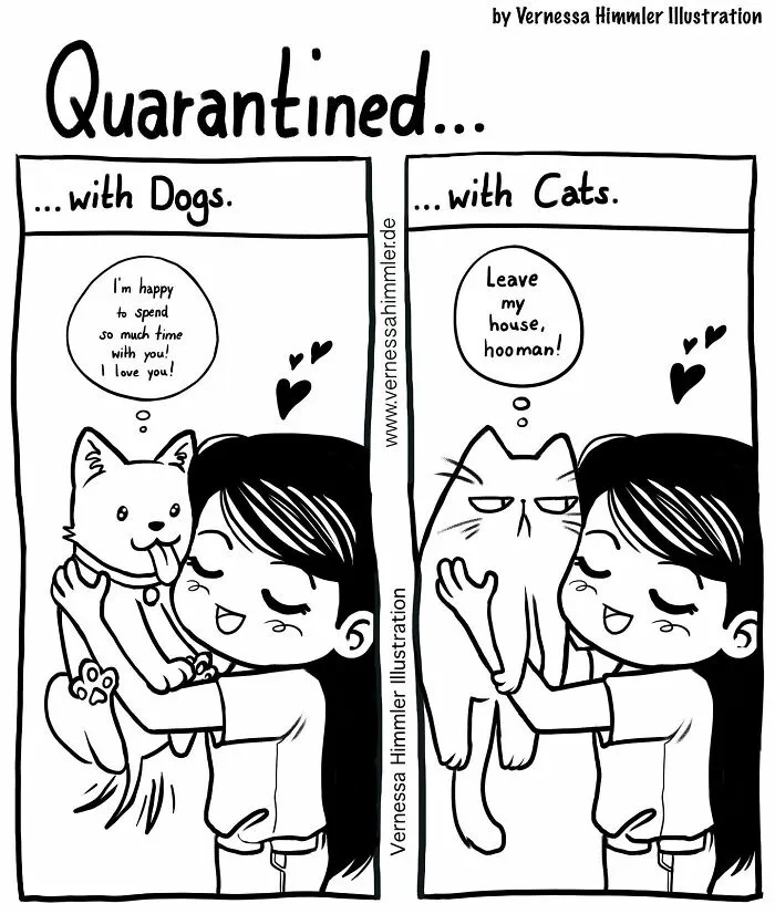 19 New Comics By Vernessa Himmler That Cat Owners Might Find Very Relatable