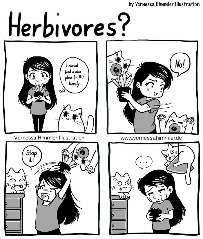 19 New Comics By Vernessa Himmler That Cat Owners Might Find Very Relatable