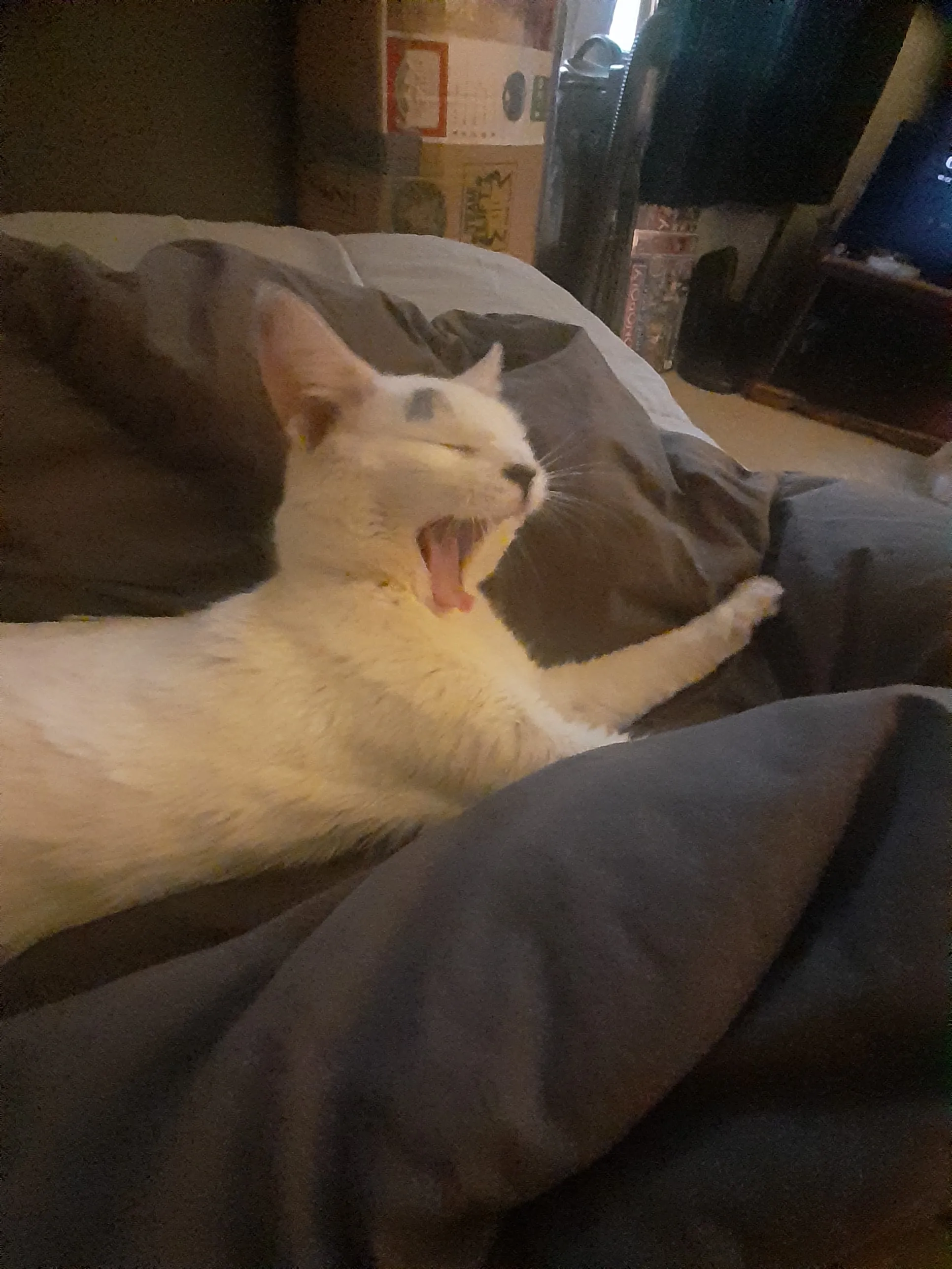Let's See Your Funniest Photos On Your Phone!