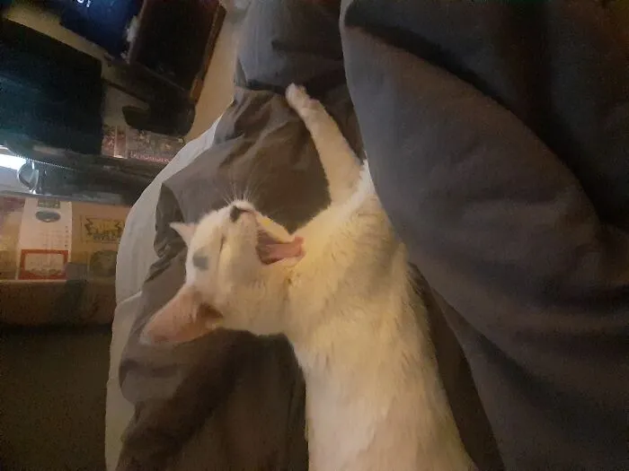 Squeaky Singing!