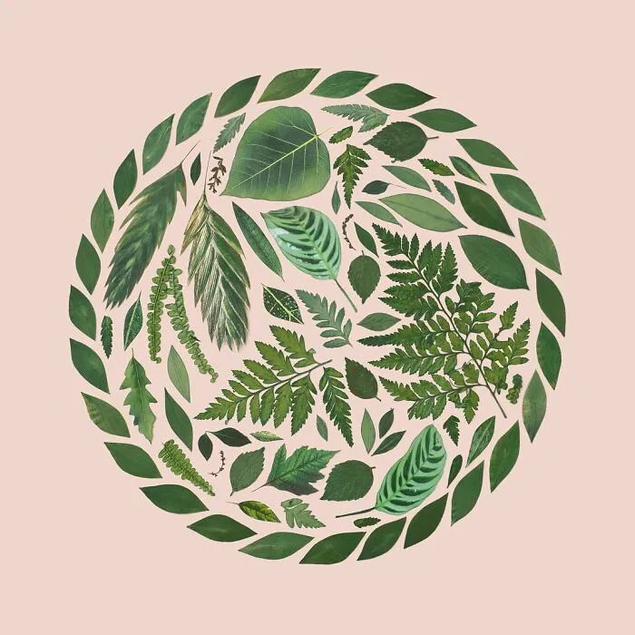 Artist Arranges Everyday Objects To Make Perfect-Looking Art Pieces, And Here Are 80 Of The Best Ones