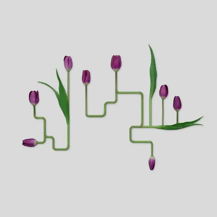 Artist Arranges Everyday Objects To Make Perfect-Looking Art Pieces, And Here Are 80 Of The Best Ones