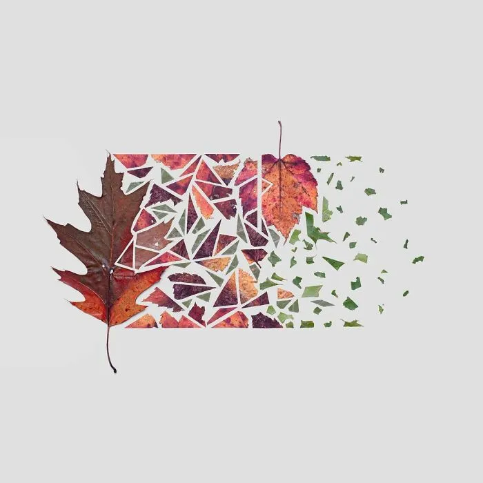 Artist Arranges Everyday Objects To Make Perfect-Looking Art Pieces, And Here Are 80 Of The Best Ones