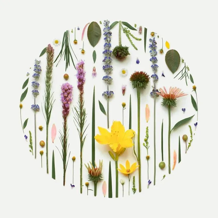 Artist Arranges Everyday Objects To Make Perfect-Looking Art Pieces, And Here Are 80 Of The Best Ones
