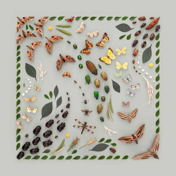 Artist Arranges Everyday Objects To Make Perfect-Looking Art Pieces, And Here Are 80 Of The Best Ones