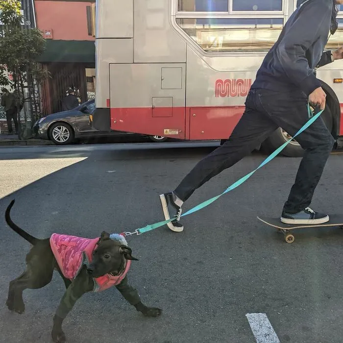 Photographer Captures The Daily Life In San Francisco (40 Pics)
