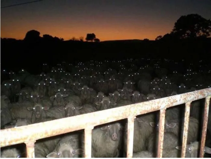 Scariest Photo From Your Camera Gallery