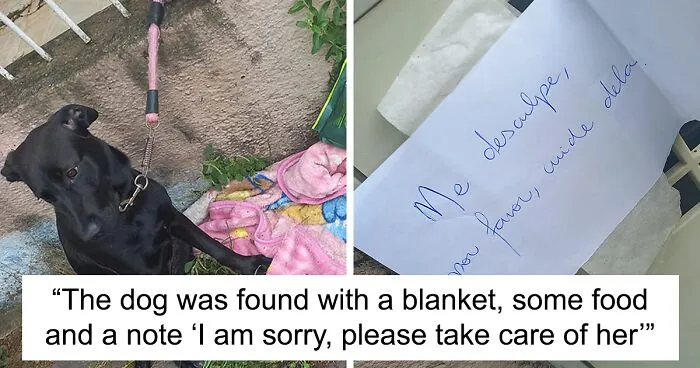 Woman Asked For Help On Social Media After Finding Abandoned Dog With A Note “I’m Sorry, Please Take Care Of Her”