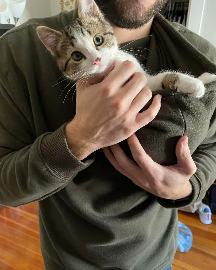 Mi novia consiguió a Toby por 5 dólares en un refugio. Los 5 dólares mejor gastados