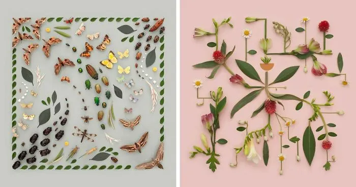 Artist Arranges Everyday Objects To Make Perfect-Looking Art Pieces, And Here Are 80 Of The Best Ones