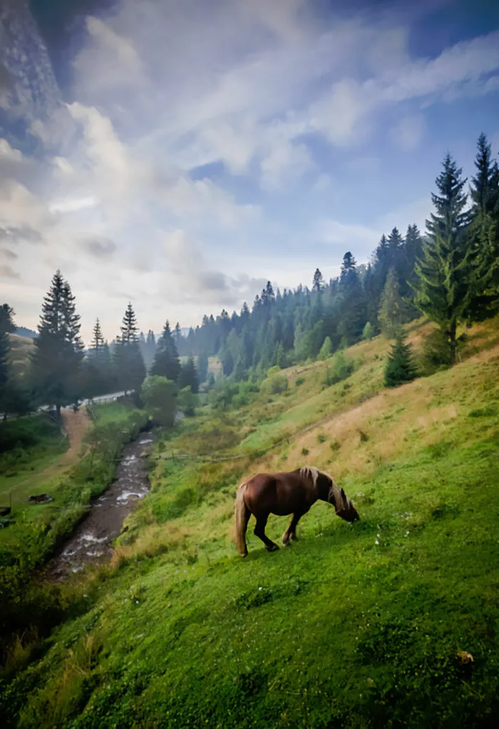 Vistas desde el balcón de un motel en Transilvania