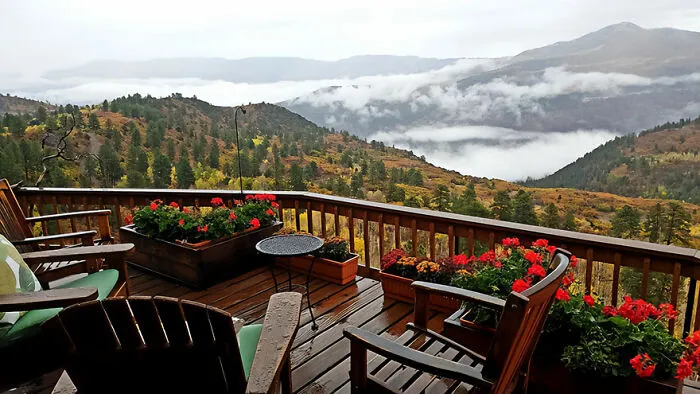 The View From My Mom's Back Porch