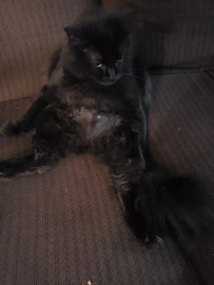 Thunder Chillin
