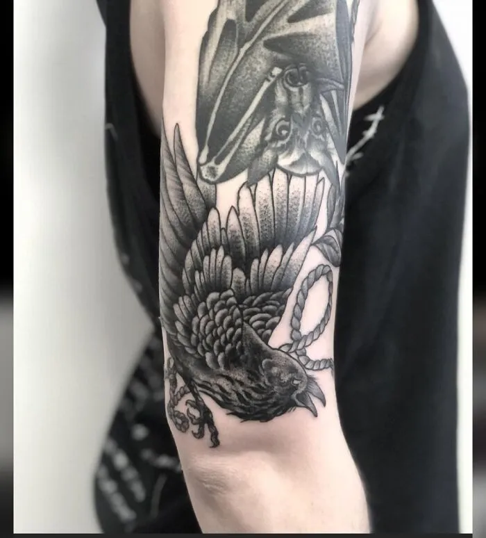Me hice a mi pájaro "Bore" como una adición a mi murciélago "Byte" ya existente para mi manga de animales