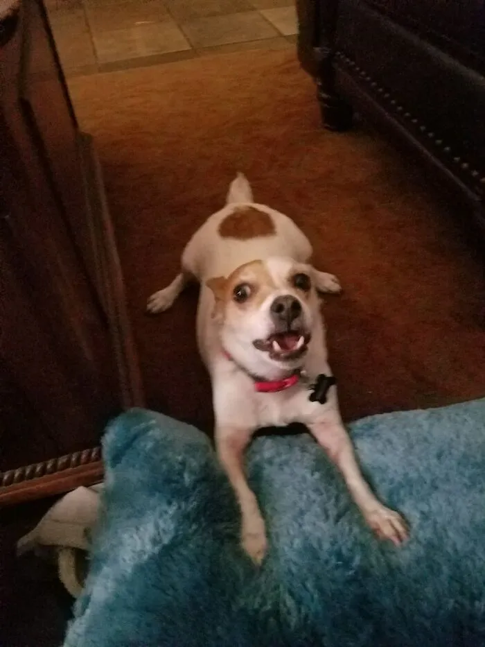 My Little Derp 💚