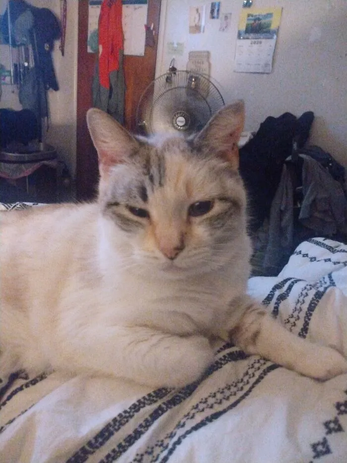 Sleepy Eye