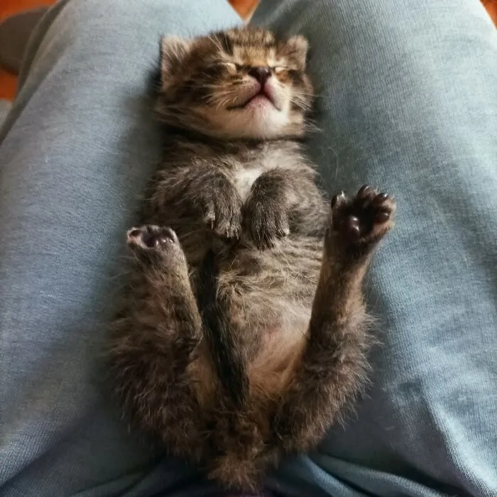 After Drinking Milk...