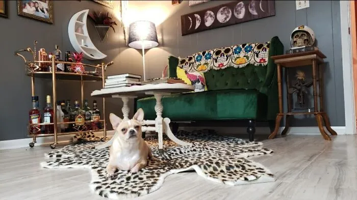 My "Cocktail Corner"! Its Even Better With Miss Mini Hanging Out!