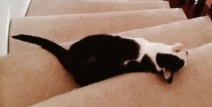 Grrrrr