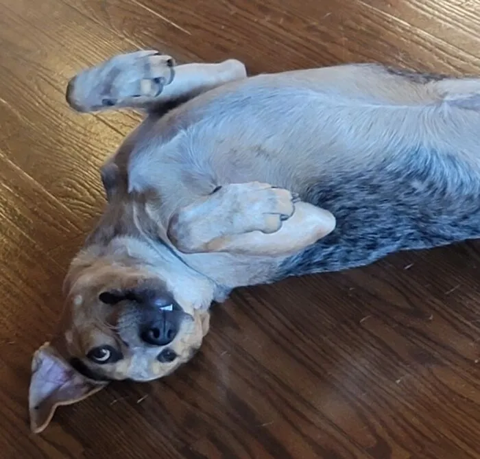 Yeth, I'm Wake