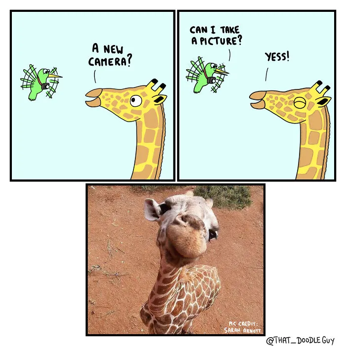 My 30 Comics Showing The Backstory Of Popular Animal Pictures