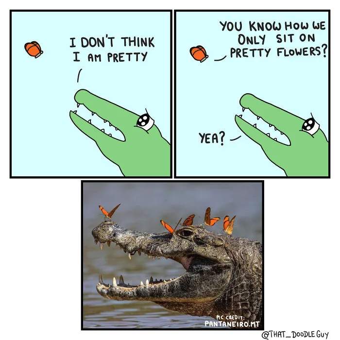 My 30 Comics Showing The Backstory Of Popular Animal Pictures