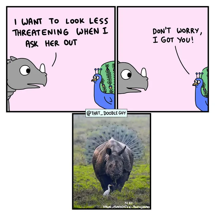 My 30 Comics Showing The Backstory Of Popular Animal Pictures