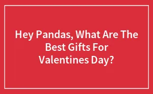 Hey Pandas, What Are The Best Gifts For Valentines Day? (Closed)
