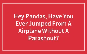 Hey Pandas, Have You Ever Jumped From A Airplane Without A Parashout?