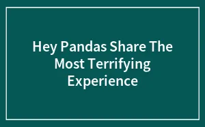 Hey Pandas Share The Most Terrifying Experience