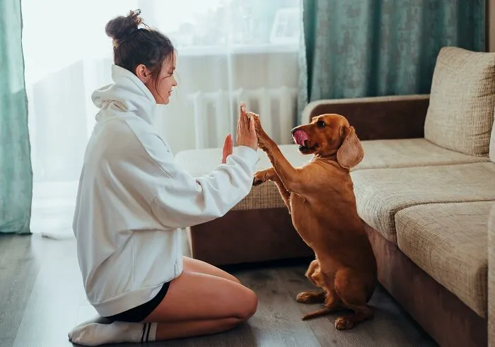 30 Things Pet Owners Should Know, According To Vets