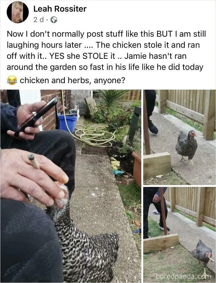 “No Context UK”: 50 Pics That Prove The UK Is Unlike Any Other Country