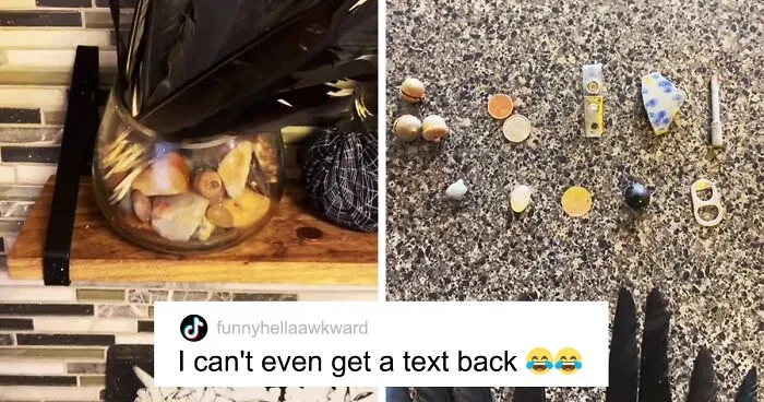 This Woman Befriended The Crows And Now Receives The Most Random Gifts As A Token Of Appreciation