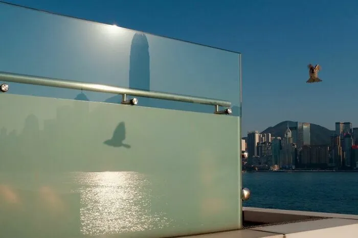 40 Afortunados accidentes captados por el fotógrafo Edas Wong (Nuevas fotos)