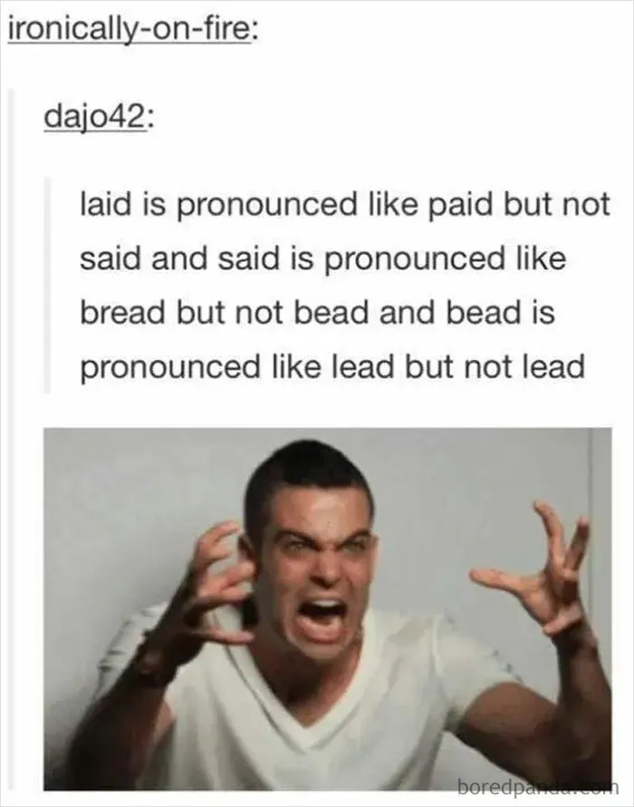 35 People Who ‘Can’t Even’ The English Language