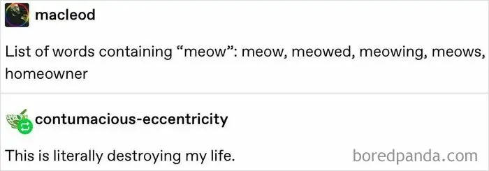 35 People Who ‘Can’t Even’ The English Language