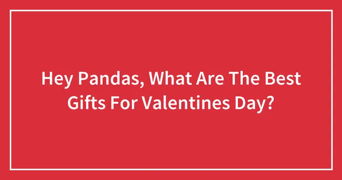 Hey Pandas, What Are The Best Gifts For Valentines Day? (Closed)