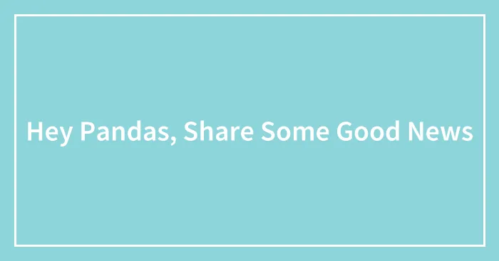 Hey Pandas, Share Some Good News (Closed)