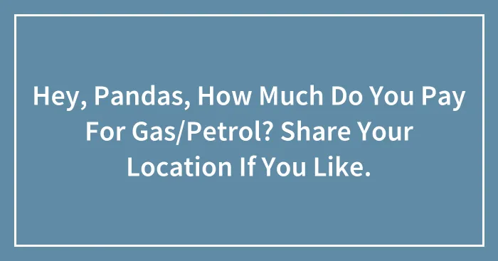 Hey, Pandas, How Much Do You Pay For Gas/Petrol? Share Your Location If You Like.