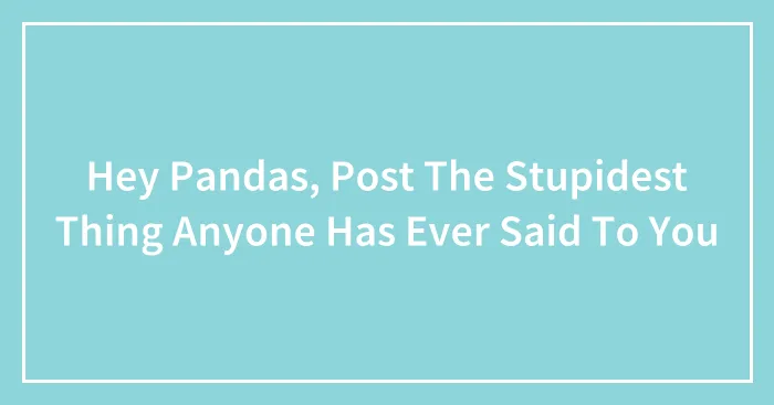 Hey Pandas, Post The Stupidest Thing Anyone Has Ever Said To You