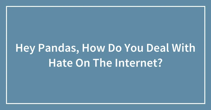 Hey Pandas, How Do You Deal With Hate On The Internet?