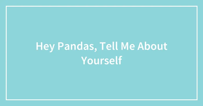 Hey Pandas, Tell Me About Yourself
