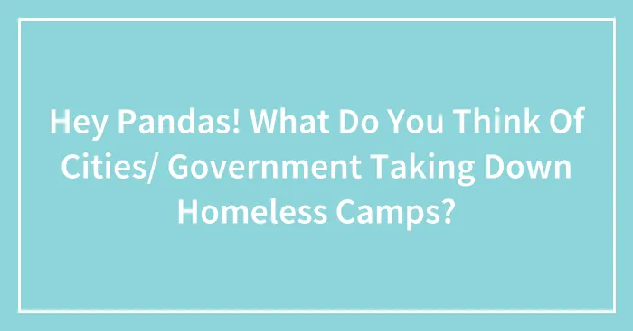 Hey Pandas! What Do You Think Of Cities/ Government Taking Down Homeless Camps?