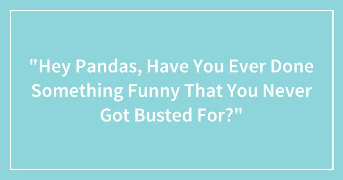 "Hey Pandas, Have You Ever Done Something Funny That You Never Got Busted For?"