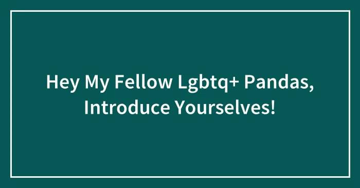 Hey My Fellow Lgbtq+ Pandas, Introduce Yourselves!